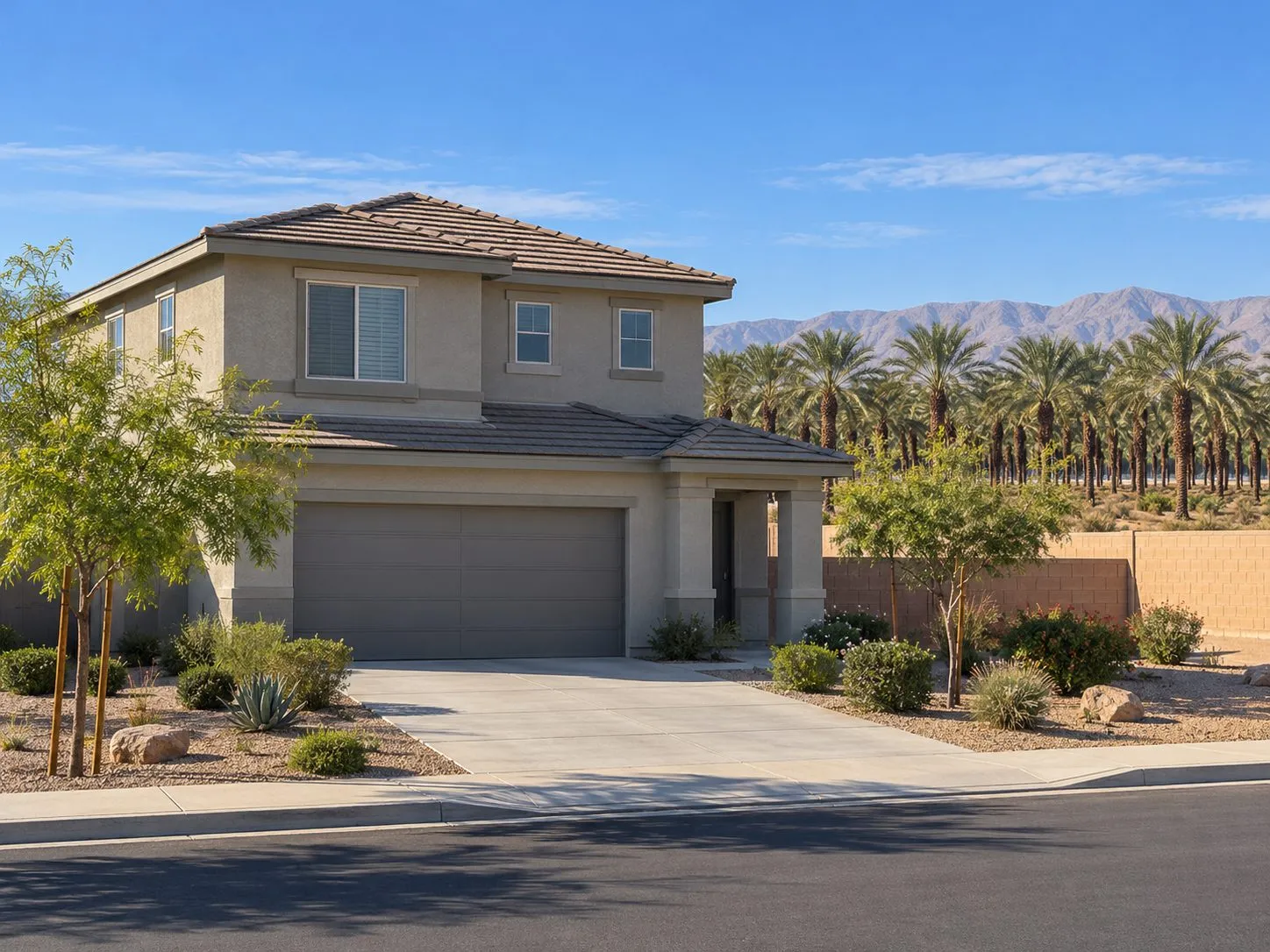 Property illustration: a newer two-story home beside a date palm grove in Indio