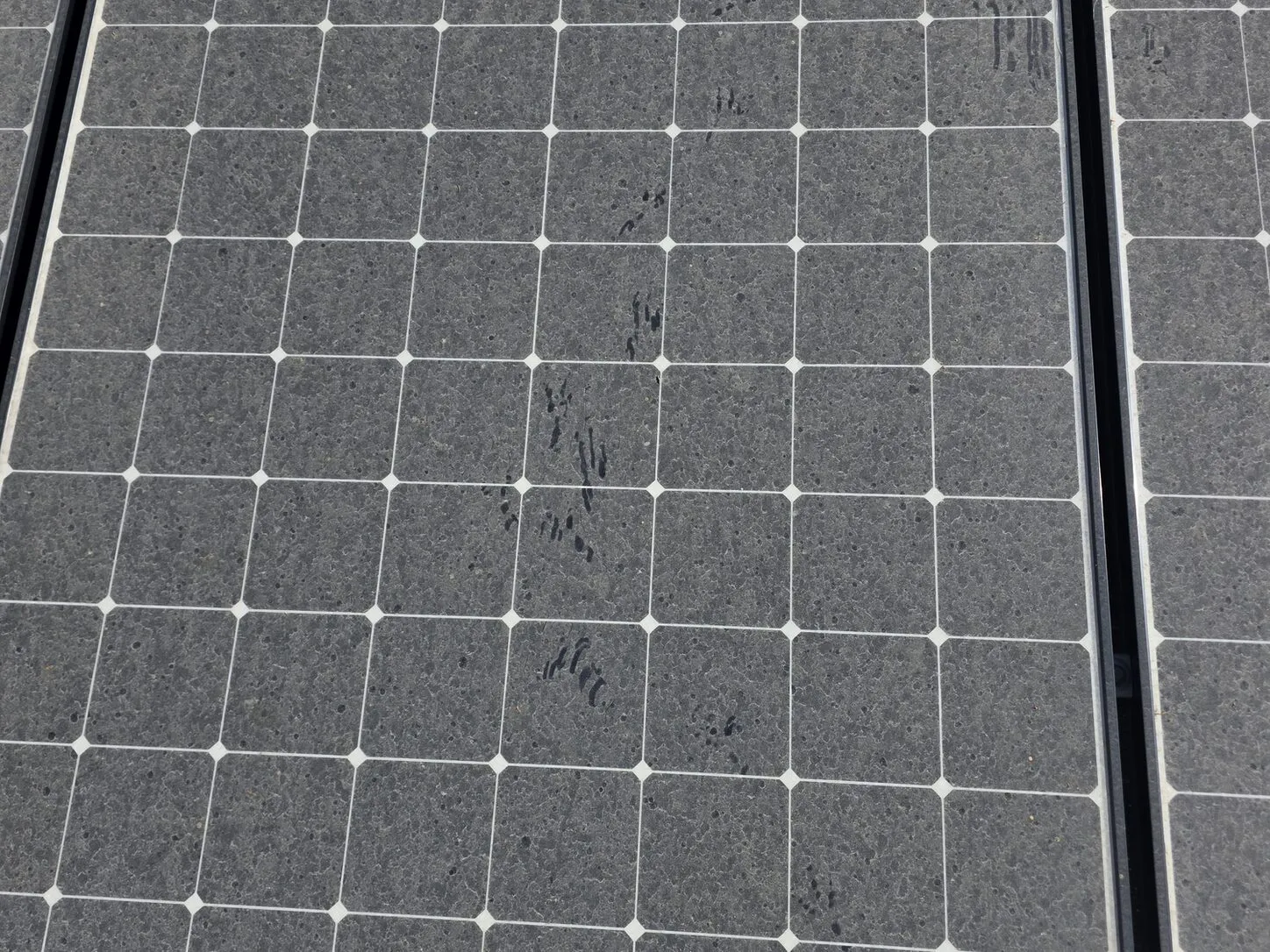Job photo: a close-up of dust and droppings on solar panels in Palm Springs, before cleaning