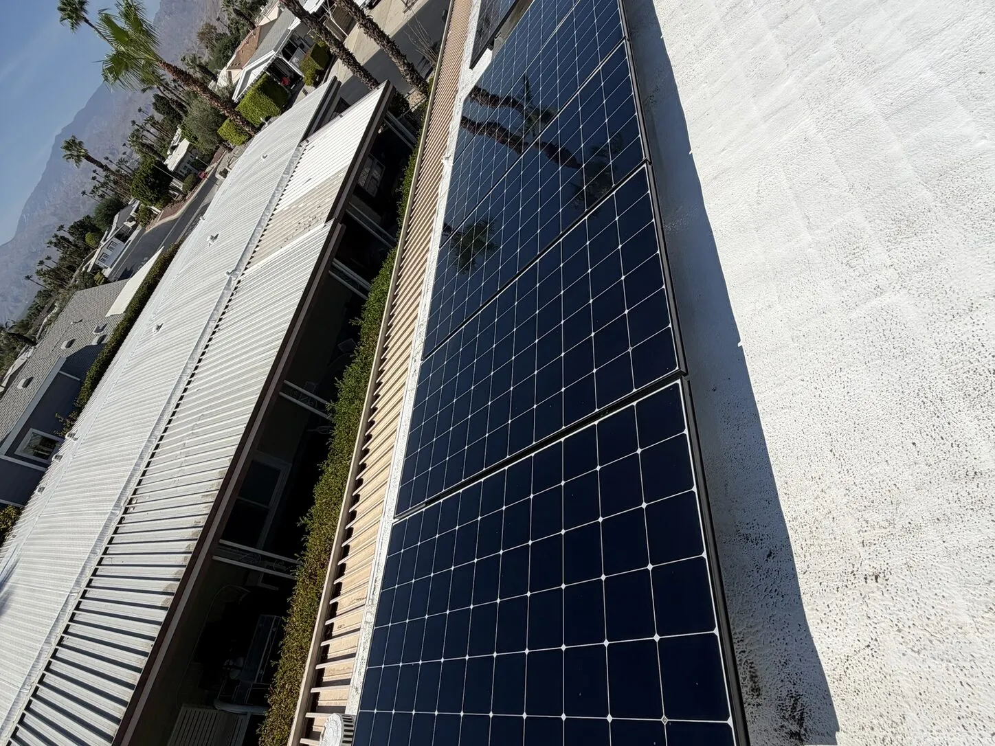 Job photo: freshly cleaned solar panels on a Palm Desert flat roof