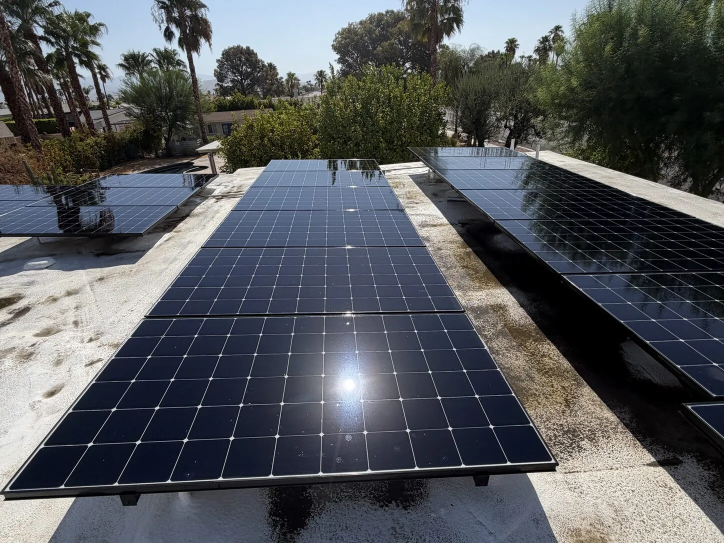 Job photo: the same Palm Springs rows shining after cleaning