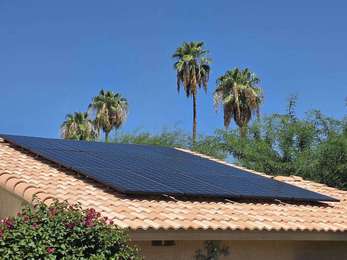 Job photo: freshly cleaned solar panels on a Palm Desert tile roof, with palms behind
